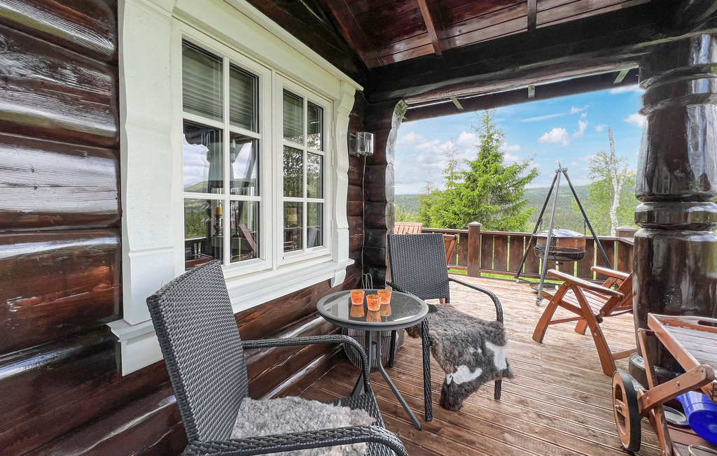 Domy wakacyjne - Synnfjell/Nord-Torpa , Norwegia - N31387 10