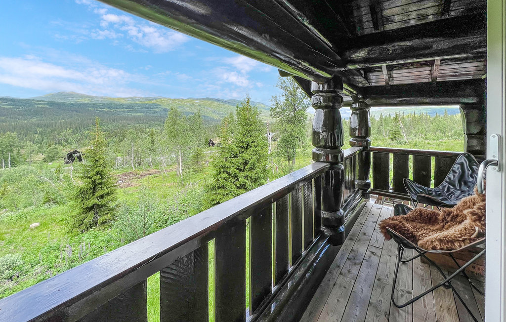 Domy wakacyjne - Synnfjell/Nord-Torpa , Norwegia - N31387 7