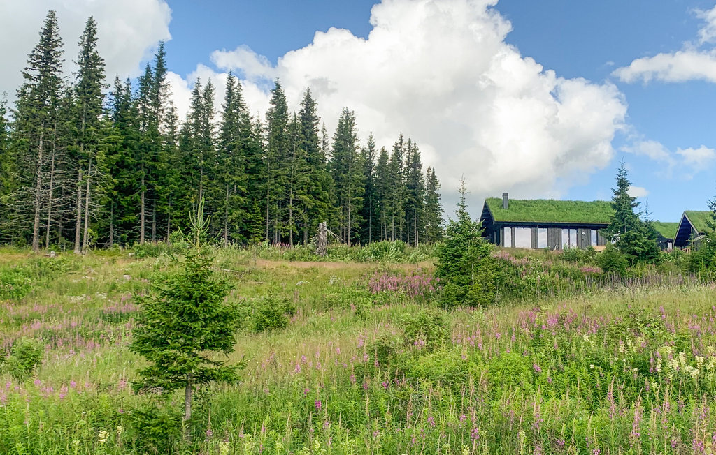 Feriehuse - Hafjell , Norge - N31624 8