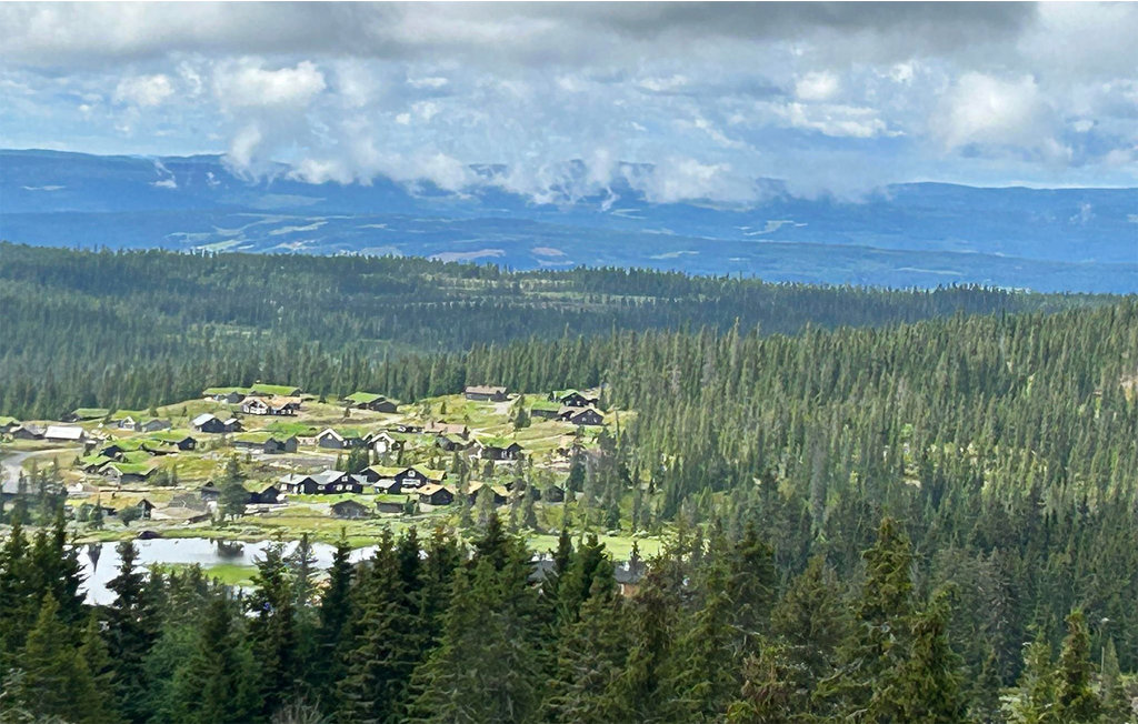 Ferienwohnung - Nordseter/Lillehammer/Sjusjøen , Norwegen - N31830 26