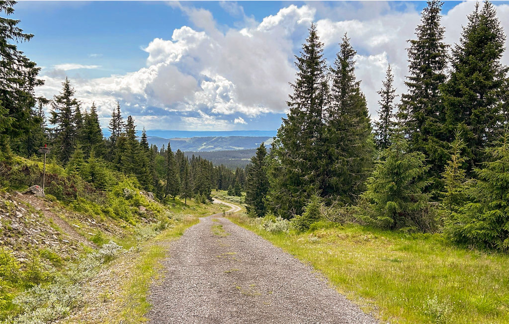 Ferienwohnung - Nordseter/Lillehammer/Sjusjøen , Norwegen - N31830 8