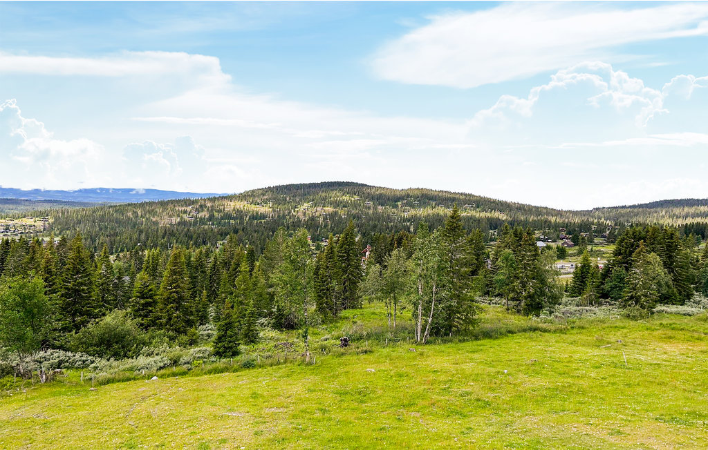 Ferienwohnung - Nordseter/Lillehammer/Sjusjøen , Norwegen - N31830 14