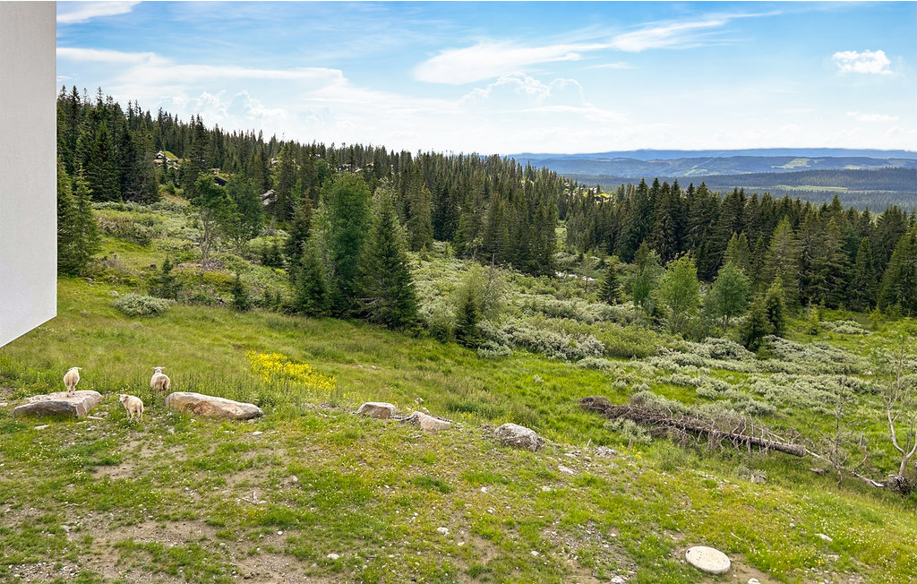 Ferienwohnung - Nordseter/Lillehammer/Sjusjøen , Norwegen - N31830 15