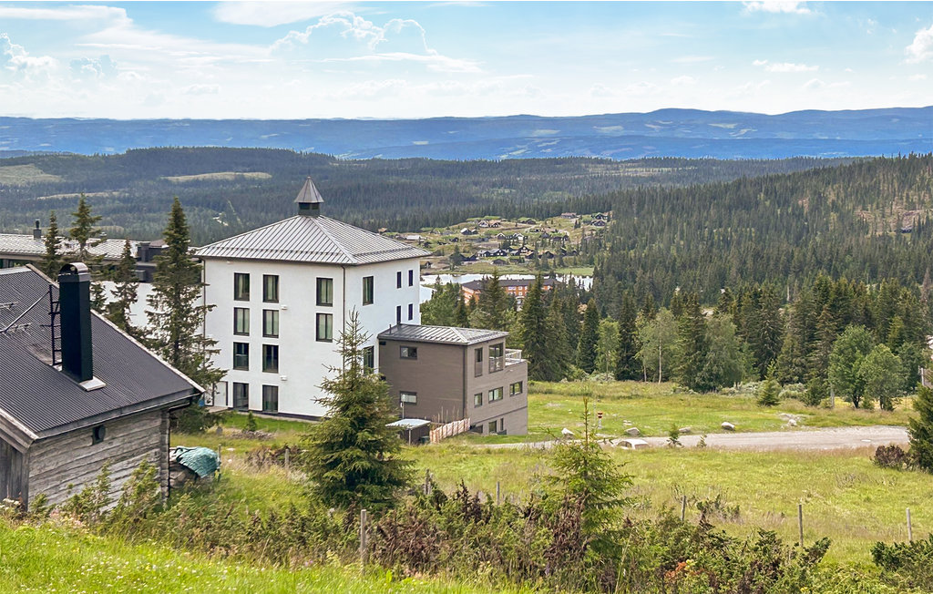 Ferienwohnung - Nordseter/Lillehammer/Sjusjøen , Norwegen - N31830 10