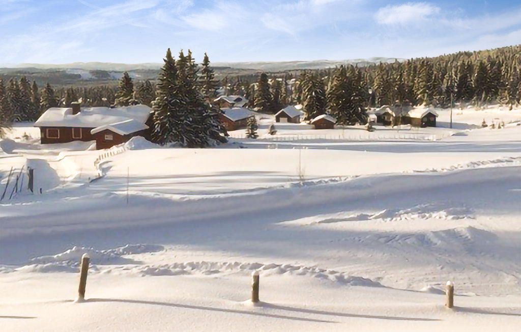 Feriehuse - Nordseter/Lillehammer/Sjusjøen , Norge - N31835 8