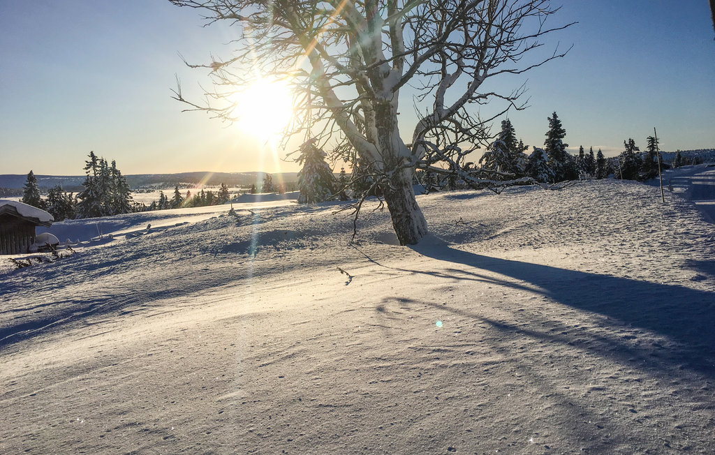 Semesterhus - Sjusjøen , Norge - N31813 8