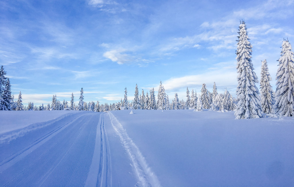Semesterhus - Sjusjøen , Norge - N31813 9