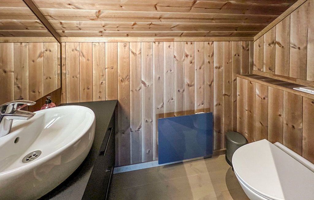Semesterhus - Sjusjøen , Norge - N31813 14