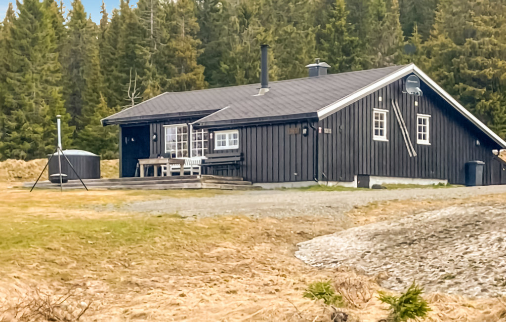 Feriehuse - Nordseter/Lillehammer/Sjusjøen , Norge - N31824 6