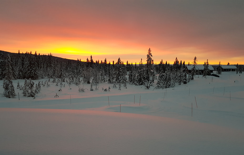 Ferienhaus - Nordseter/Lillehammer/Sjusjøen , Norwegen - N31807 13