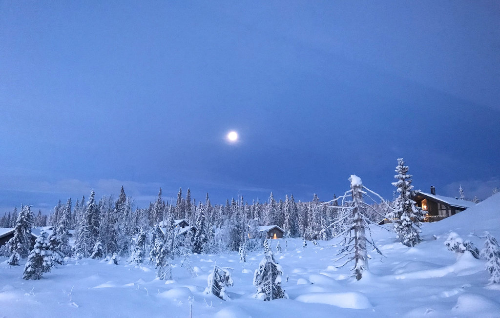Ferienhaus - Nordseter/Lillehammer/Sjusjøen , Norwegen - N31807 14