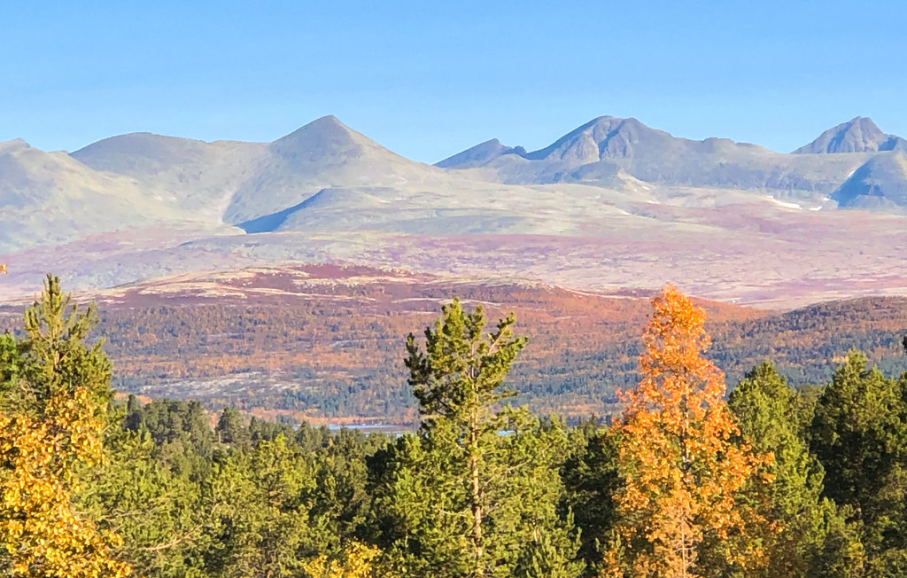 Feriehus - Kvamsfjellet/Nord Fron , Norge - N31596 9