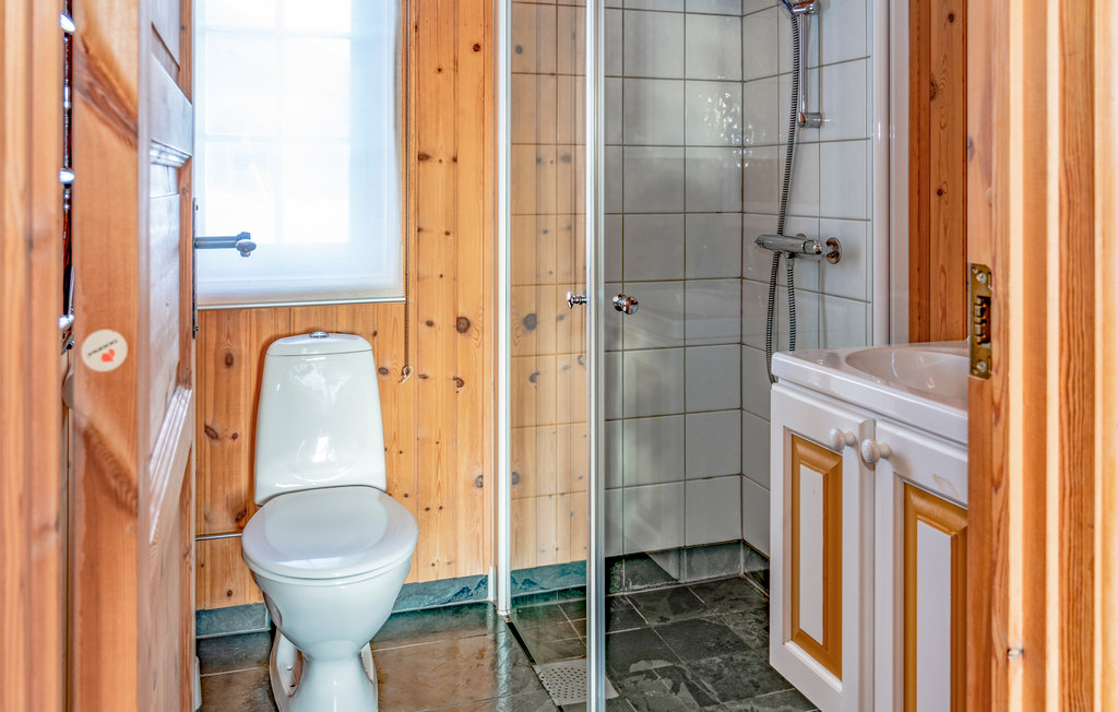 Ferienhaus - Nordseter/Lillehammer/Sjusjøen , Norwegen - N31983 23