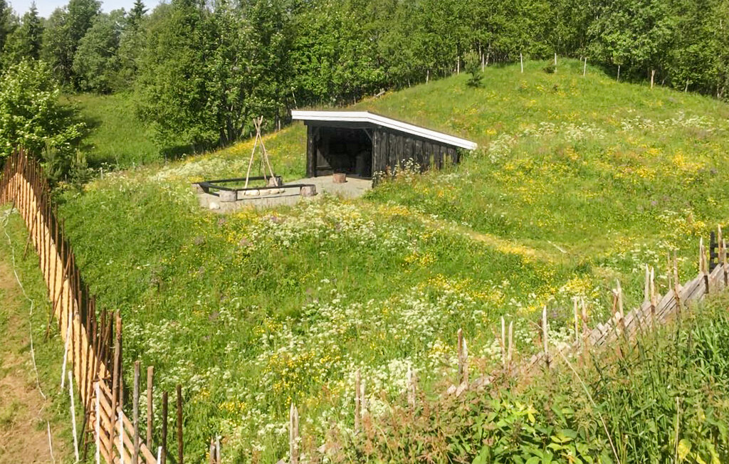 Feriehus - Gausdal , Norge - N31518 17