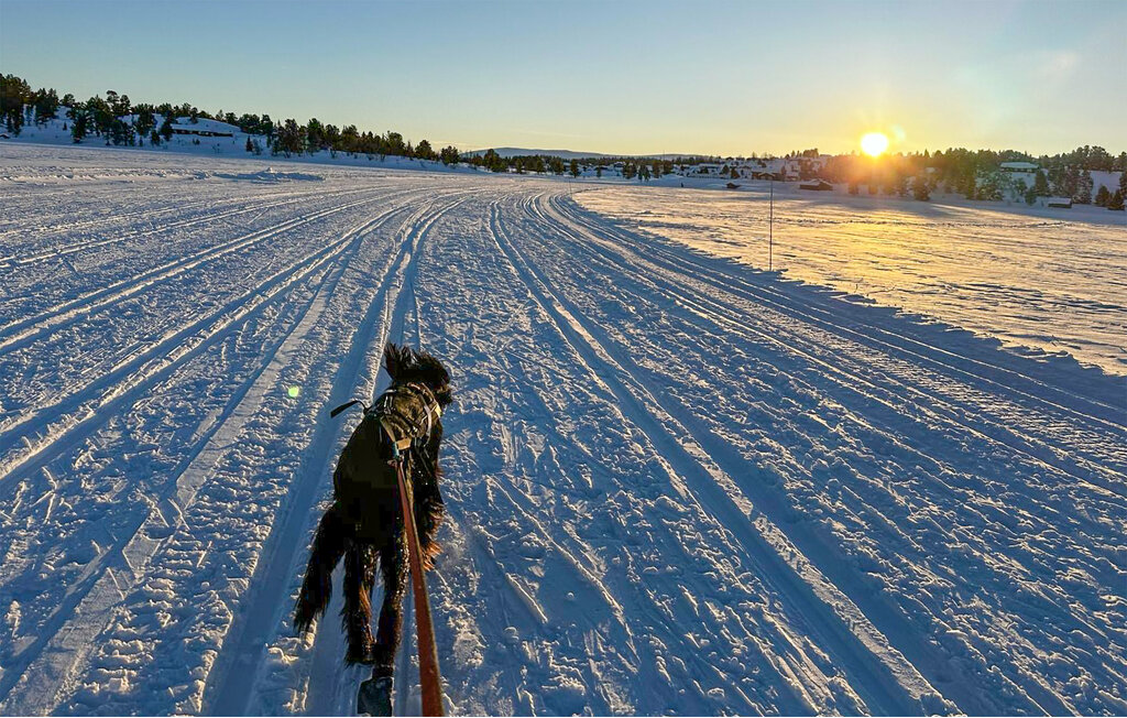 Feriehus - Kvamsfjellet/Nord Fron , Norge - N31596 24