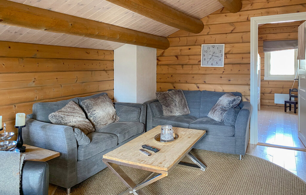 Ferienhaus - Bjorli , Norwegen - N31400 5