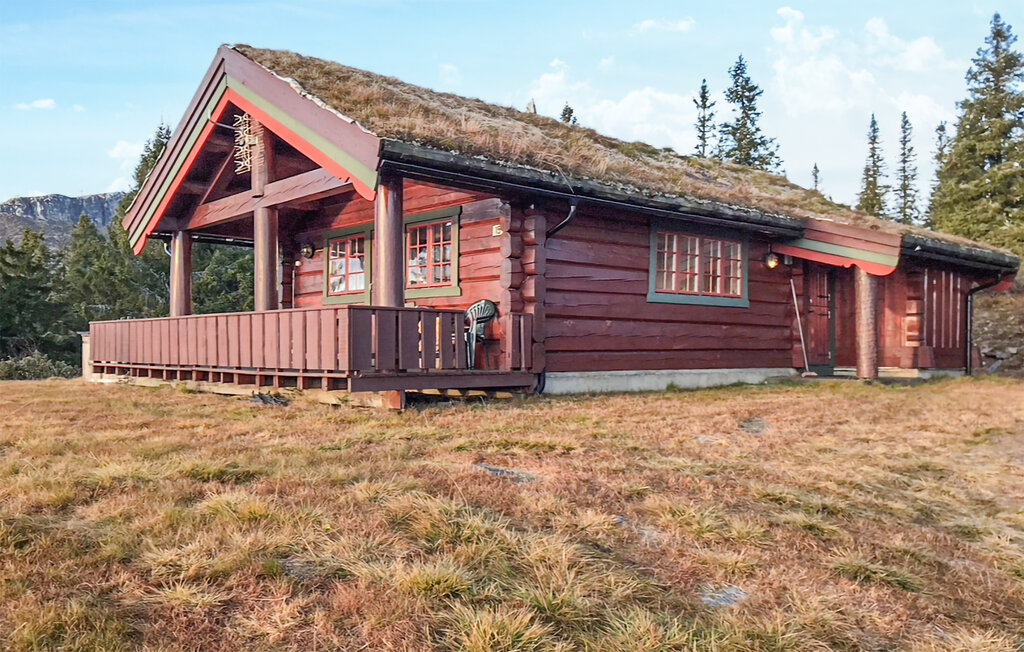 Location de vacances - Skeikampen/Gausdal , Norvège - N31517 2