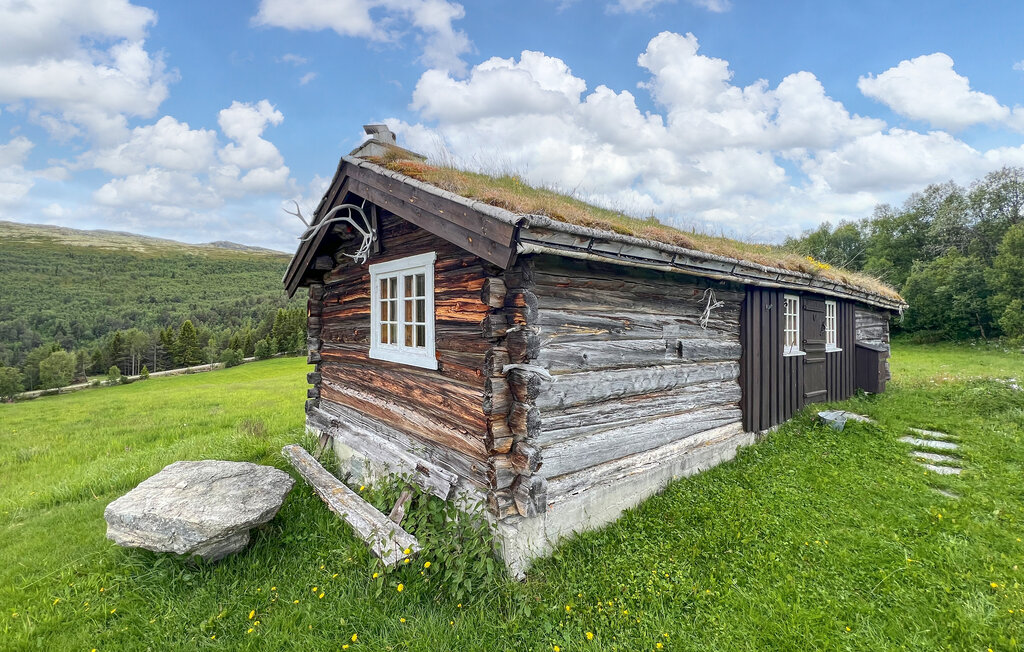 Kuća-za-odmor - Horgen/Sel/Otta , Norveška - N31580 9