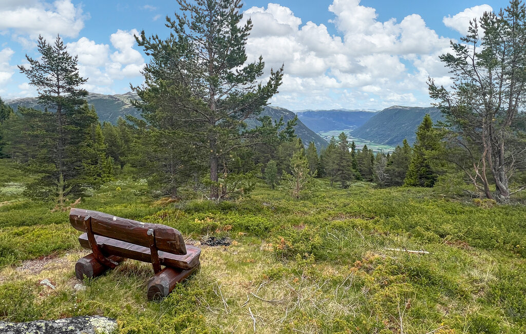 Kuća-za-odmor - Horgen/Sel/Otta , Norveška - N31580 2