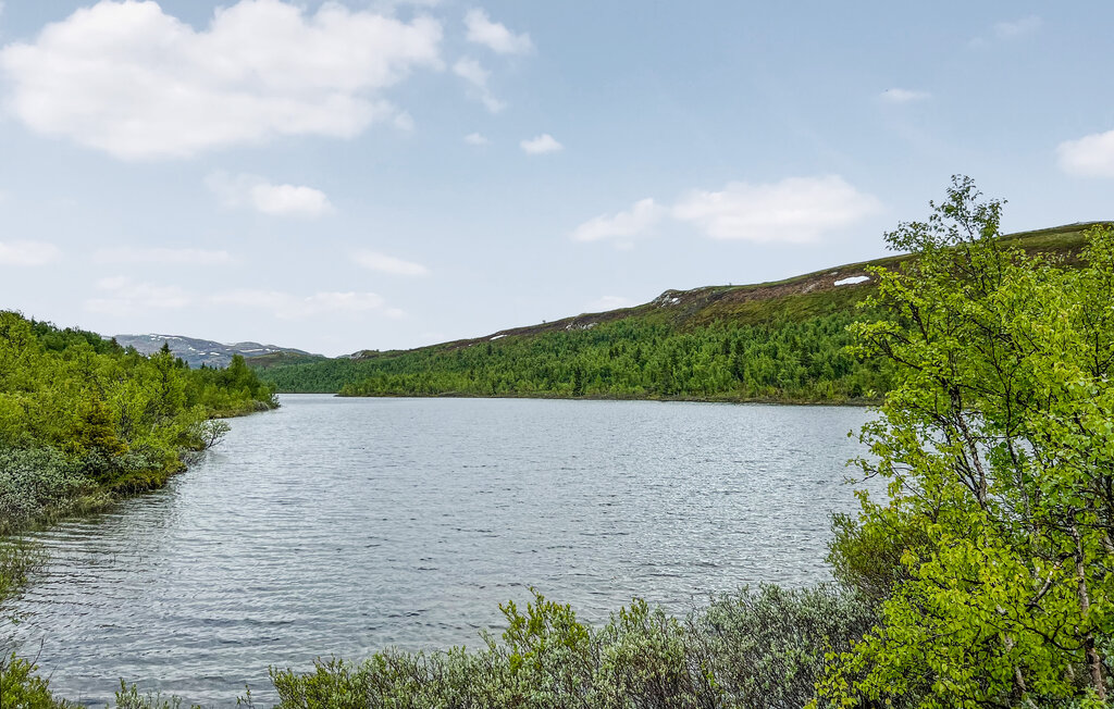 Ferienhaus - Valdres , Norwegen - N31582 15