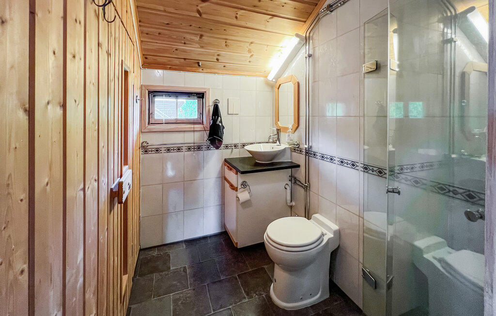 Ferienhaus - Valdres , Norwegen - N31582 14