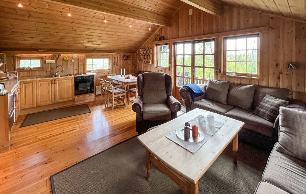 Ferienhaus - Valdres , Norwegen - N31582 4