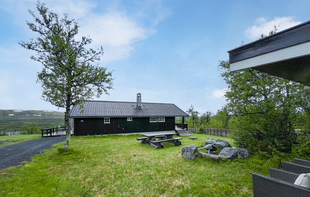 Ferienhaus - Valdres , Norwegen - N31582 9