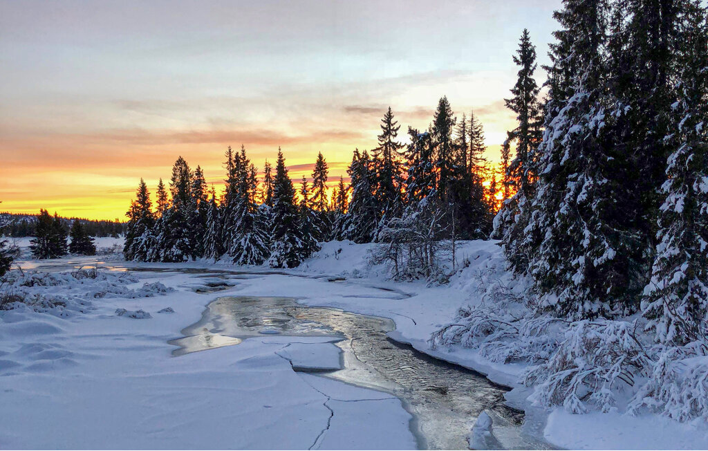 Feriehuse - Sjusjøen , Norge - N31882 19