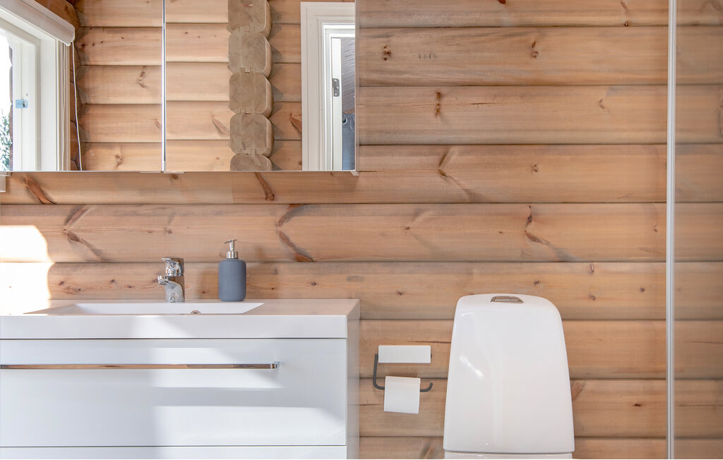 Domy wakacyjne - Lesja , Norwegia - N31412 34