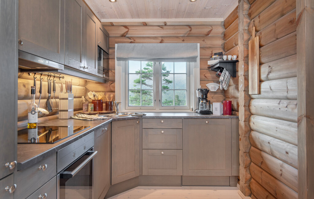 Domy wakacyjne - Lesja , Norwegia - N31412 26