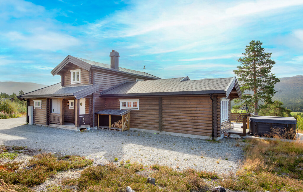 Domy wakacyjne - Lesja , Norwegia - N31412 13