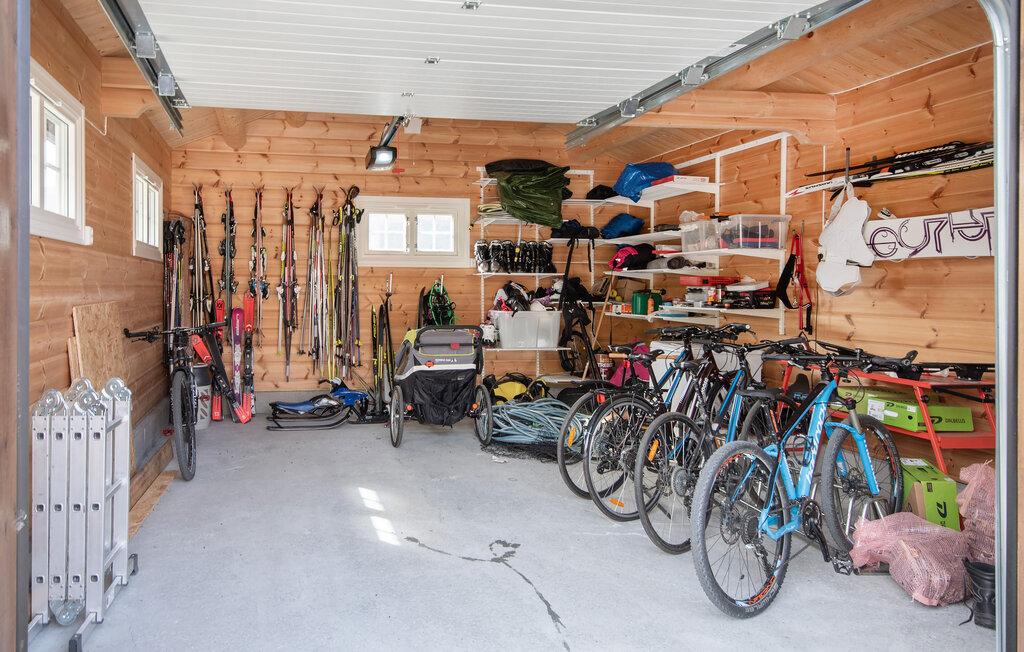 Domy wakacyjne - Lesja , Norwegia - N31412 19