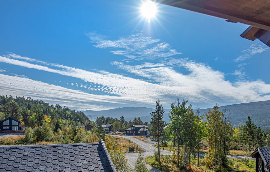 Domy wakacyjne - Lesja , Norwegia - N31412 22