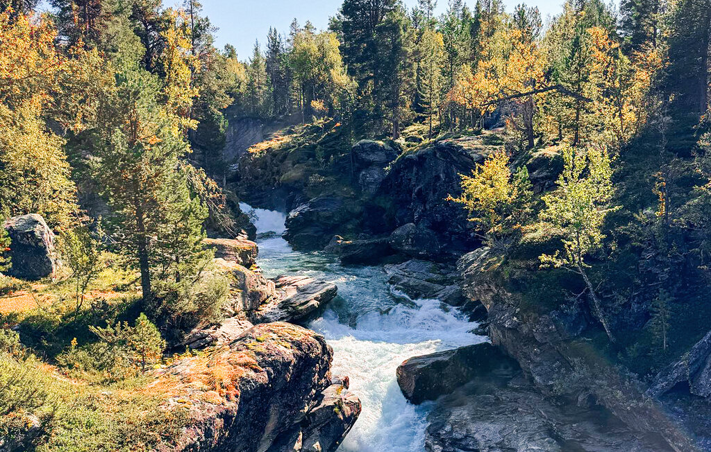 Domy wakacyjne - Lesja , Norwegia - N31412 36