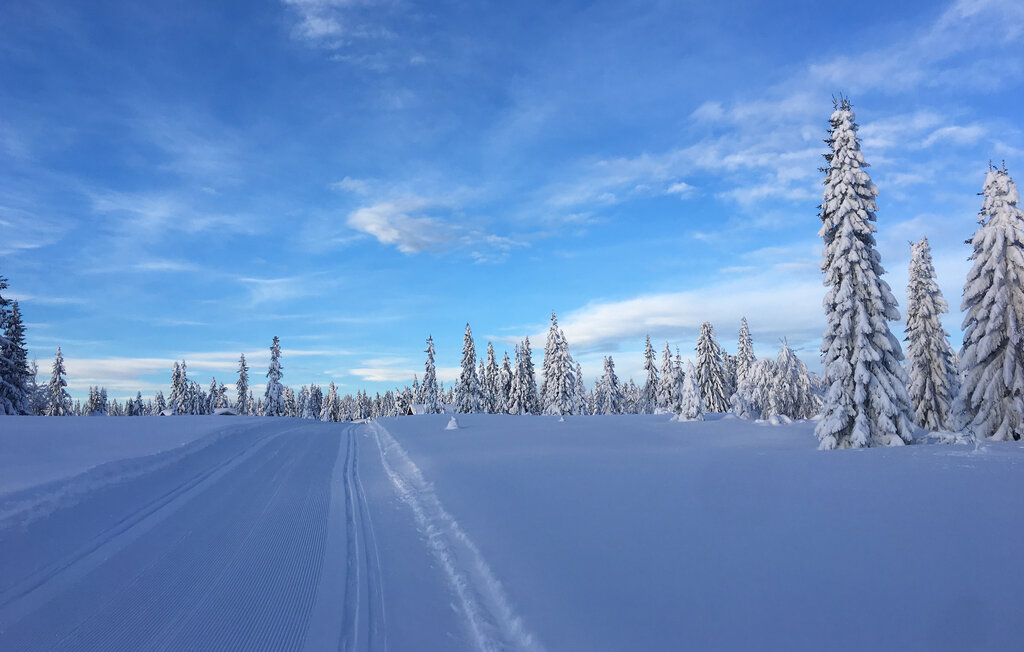 Domy wakacyjne - Sjusjøen , Norwegia - N31755 9