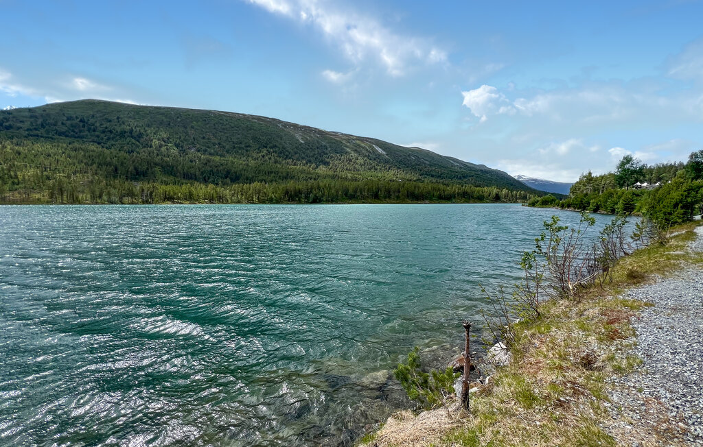 Feriehus - Skjåk , Norge - N31657 21