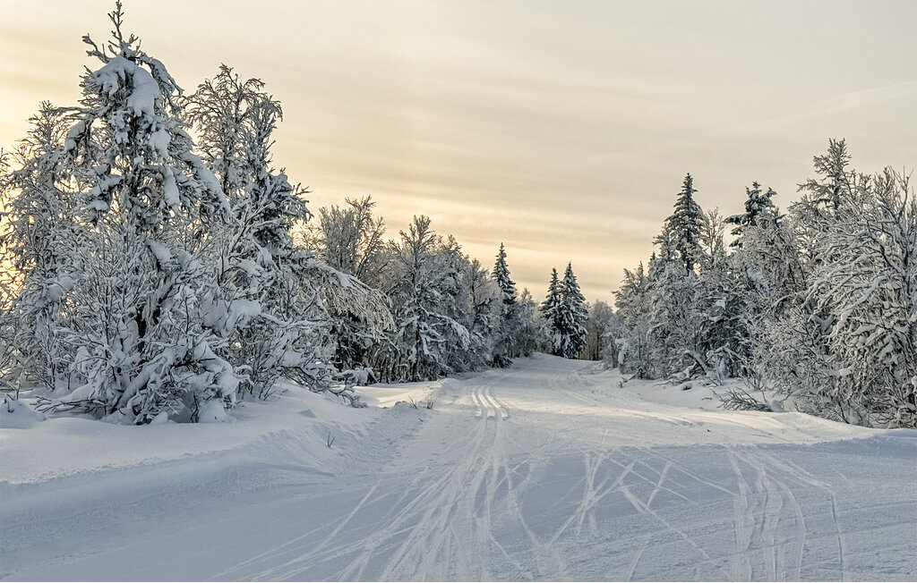 Semesterlägenhet - Hafjell , Norge - N31664 15