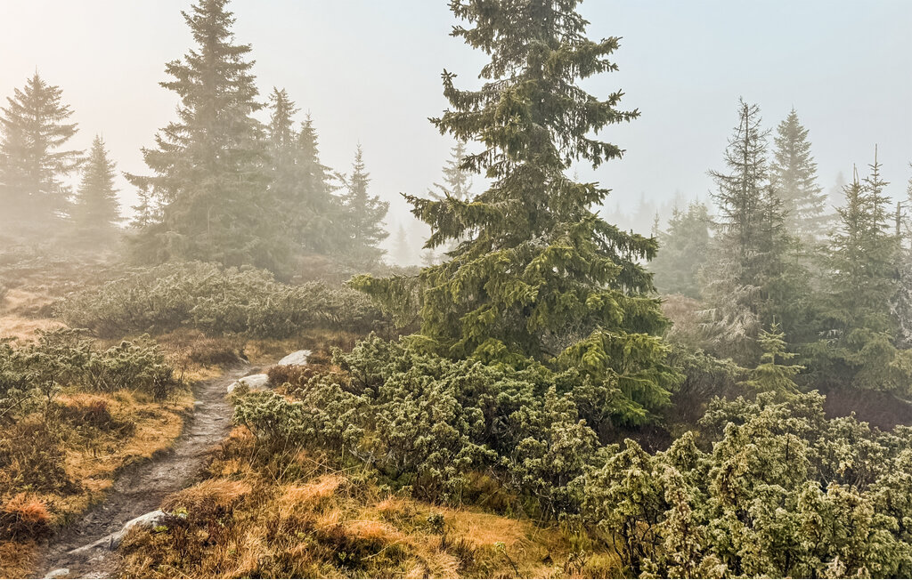 Semesterlägenhet - Hafjell , Norge - N31664 18