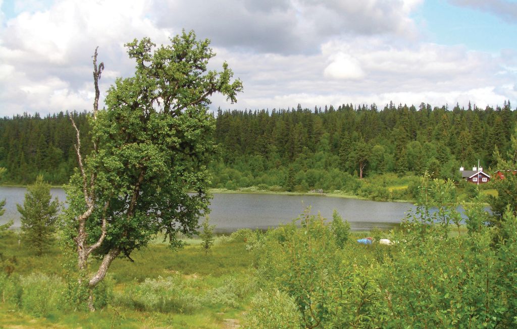 Bild 3 Bild 3