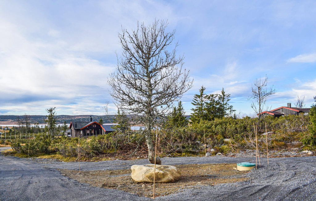 Verheug je op unieke ervaringen op het Noorse platteland.

Dit lichte huis is de ideale plek voor een gezellige gezinsvakantie. Het prachtige panoramische uitzicht op de prachtige Noorse natuur is uni..