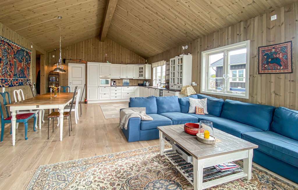 Ferienhaus - Tisleidalen/Valdres , Norwegen - N32096 3