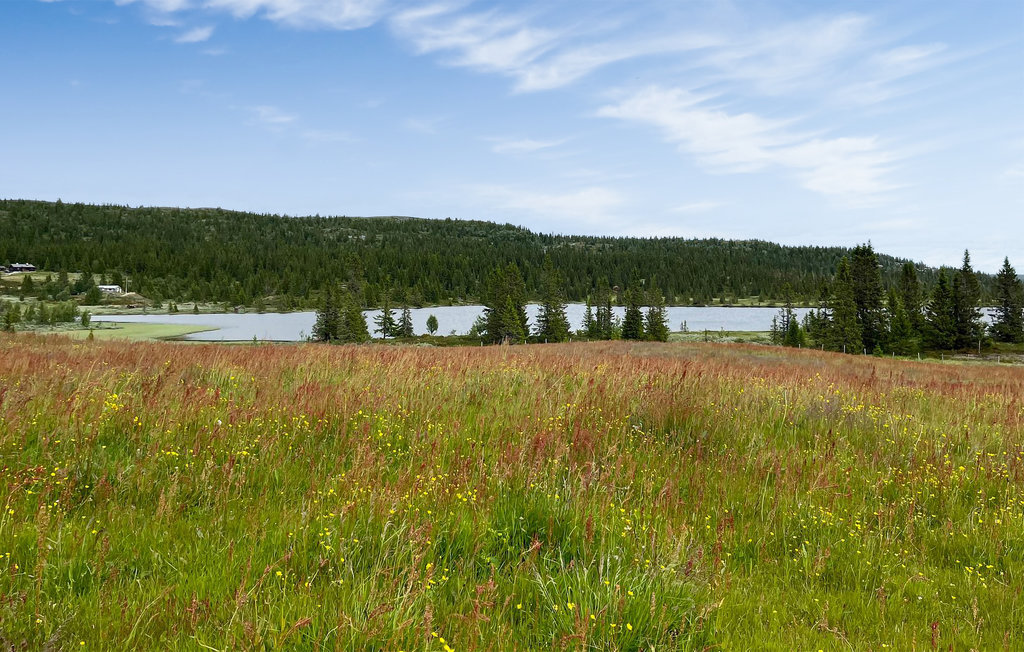 Ferienhaus - Valdres , Norwegen - N32067 22