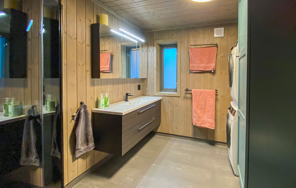 Ferienhaus - Valdres , Norwegen - N32067 19