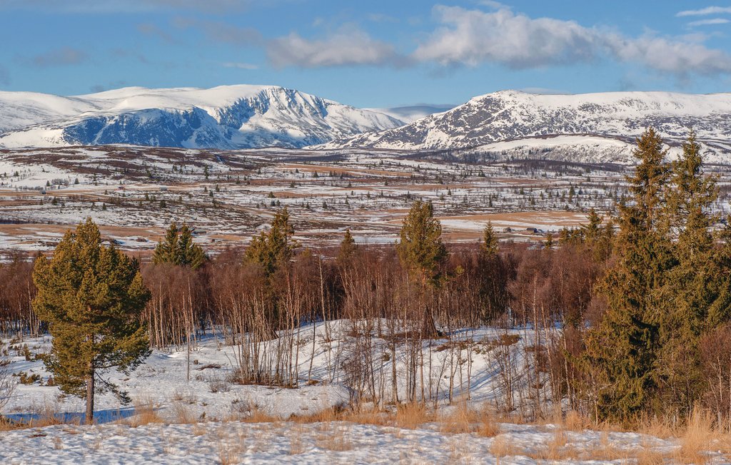 Ferienhaus - Vang/Henåsen , Norwegen - N32804 14