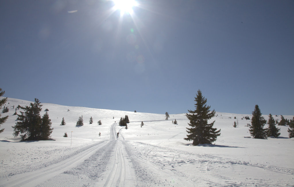 Ferienhaus - Valdres , Norwegen - N32067 25