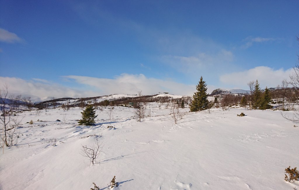 Ferienhaus - Vang/Henåsen , Norwegen - N32804 20