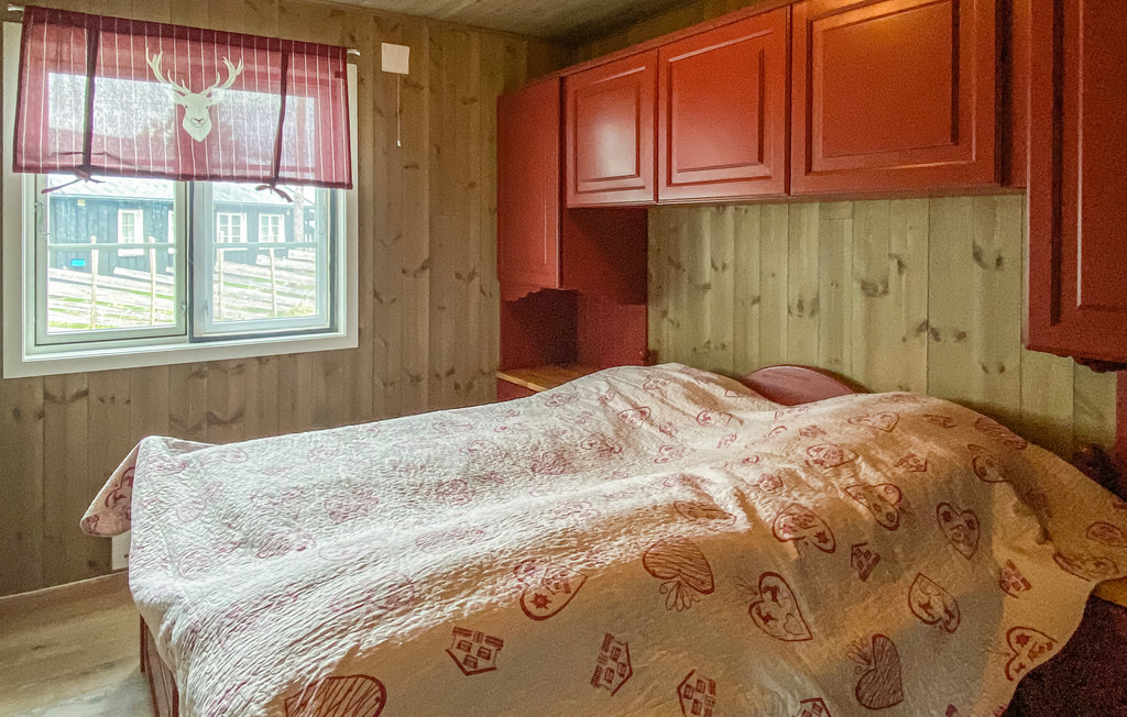 Ferienhaus - Tisleidalen/Valdres , Norwegen - N32096 10