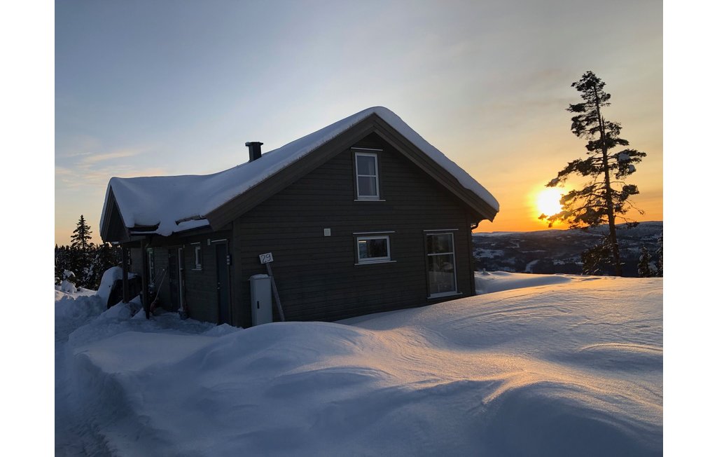 Ferienhaus - Valdres , Norwegen - N32056 13