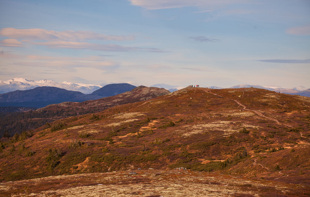 Ferienhaus - Valdres , Norwegen - N32067 23