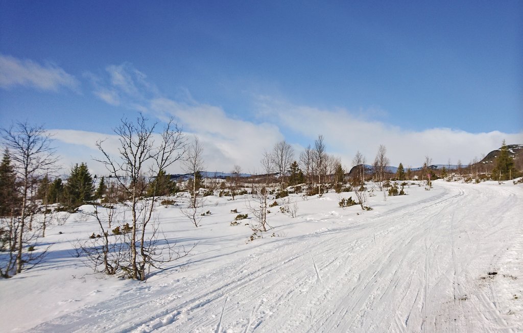 Ferienhaus - Vang/Henåsen , Norwegen - N32804 19